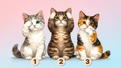 Teste psicológico: escolha um gatinho e descubra o que se esconde na sua autoestima